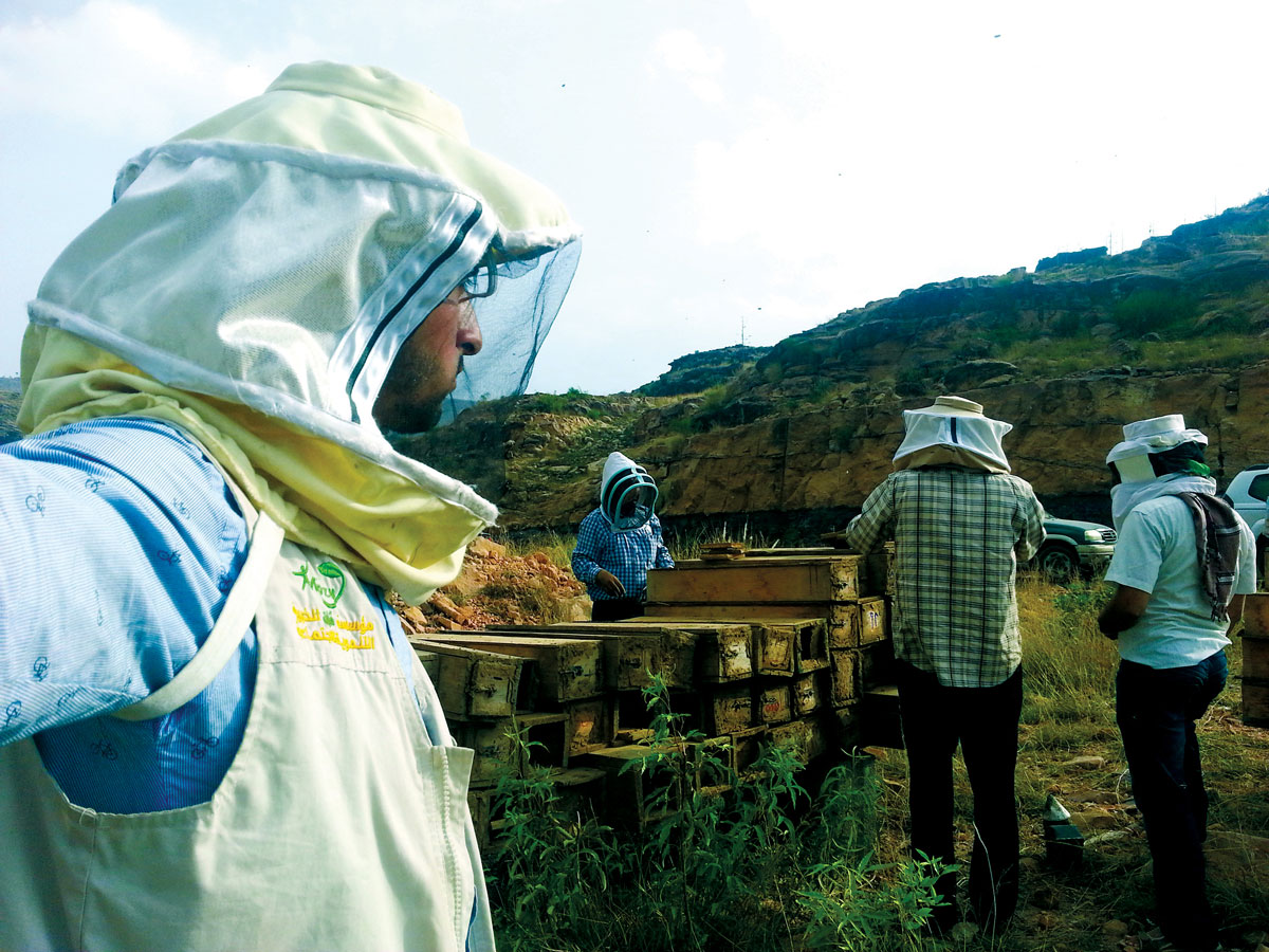 Integrated response to the first track of water needs Environmental sanitation and food02