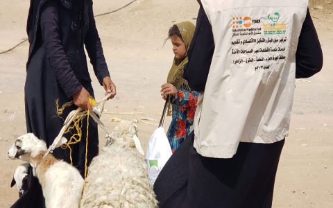 Provision of GBV Multisectoral Services 01